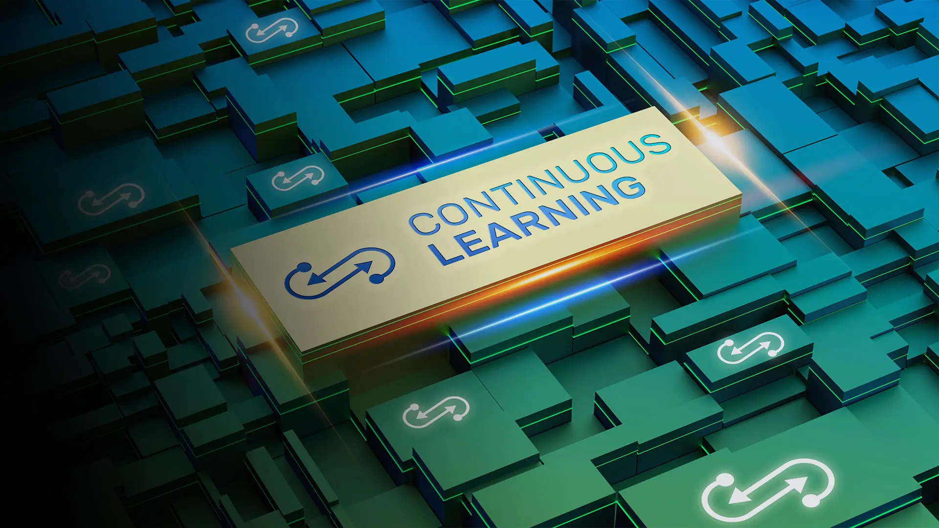AI_Continuous Learning